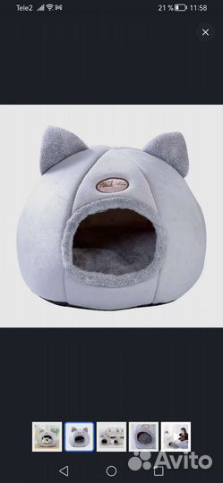 Pusheen cat