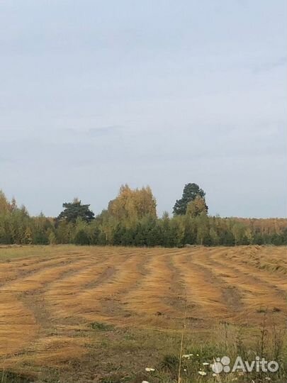 Европейский утеплитель из растительного волокна Ль