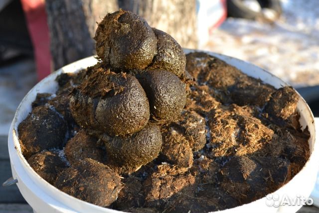 Навоз конский в мешках