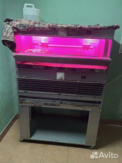 Брудер для цыплят бу