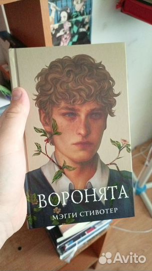 Воронята подарочное издание