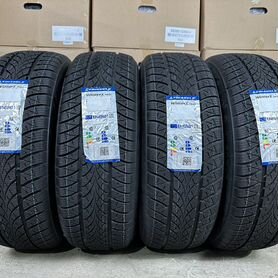 Triangle WinterX TW401 205/55 R17 95V