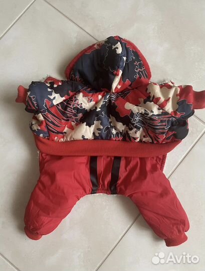 Одежда для собак