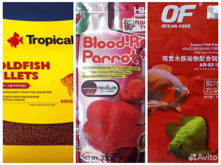 Лорикариевые номерные L сомы,цихлиды, корма,гуппи