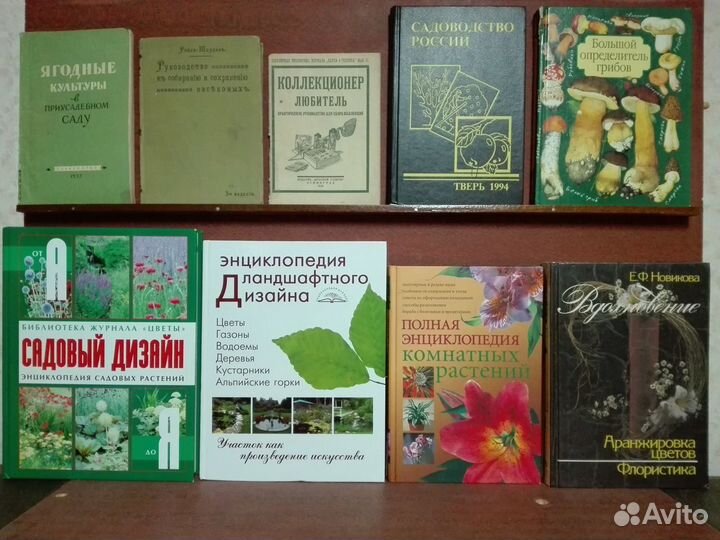 Книги по лесному хозяйству дендрологии энтомологии