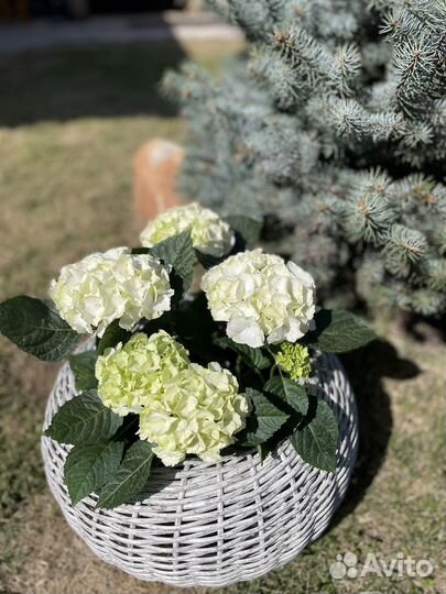 Уличные кашпо