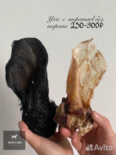 Сухие лакомства для собак