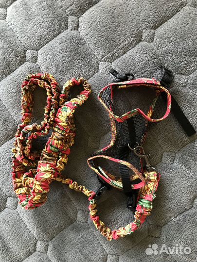 Шлейка для хорька