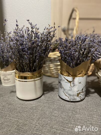 Лаванда сухоцвет