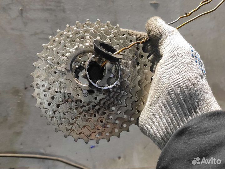 Звезда задняя, 11 36