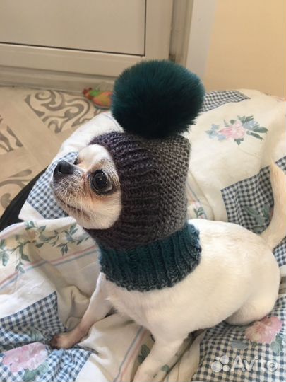 Шапочки для собак мелких пород