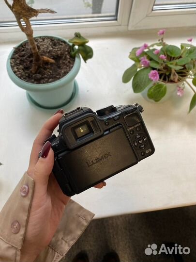 Panasonic GH2 + объектив Zonlai 22 mm f 1.8