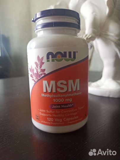 MSM корм