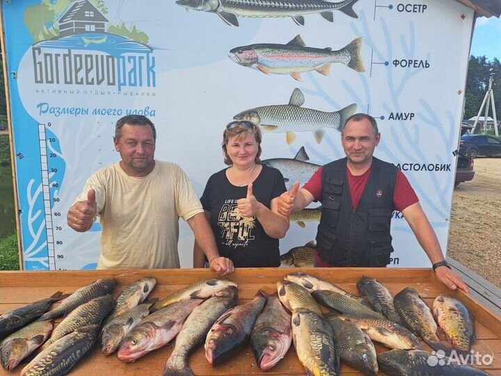 Платная рыбалка