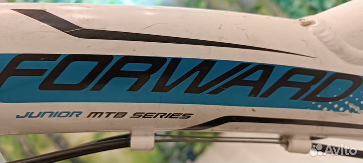 Детский велосипед Forward