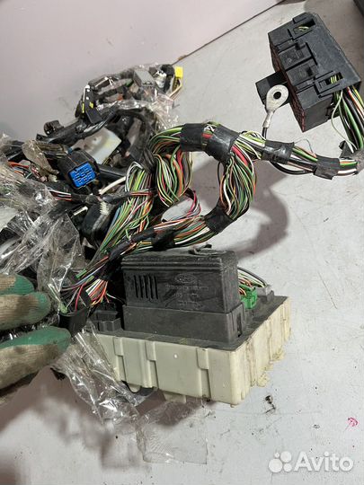 Проводка салонная Ford Focus 1 USA 2.0 split port