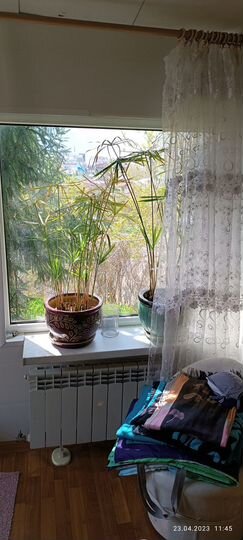 Дом 50,4 м² на участке 4,7 сот.