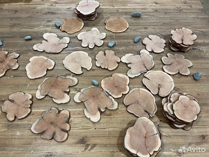 Спилы ароматного сибирского можжевельника 4-32 см