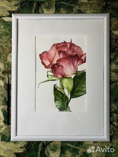 Картина акварель цветы Роза