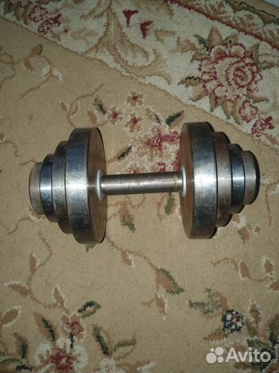 Гантеля разборная 17 кг