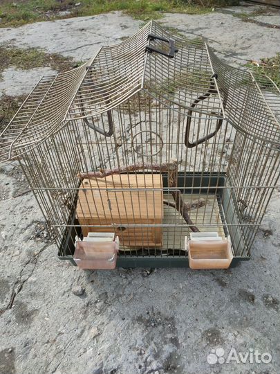 Клетка