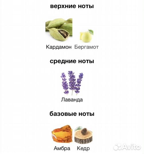 Zara Night Pour Homme III