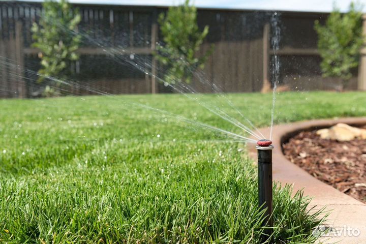 Укладка рулонного газона с автополивом