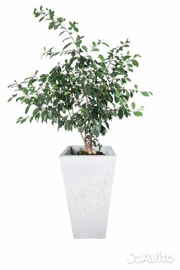 Урна из бетона в наличии и под заказ