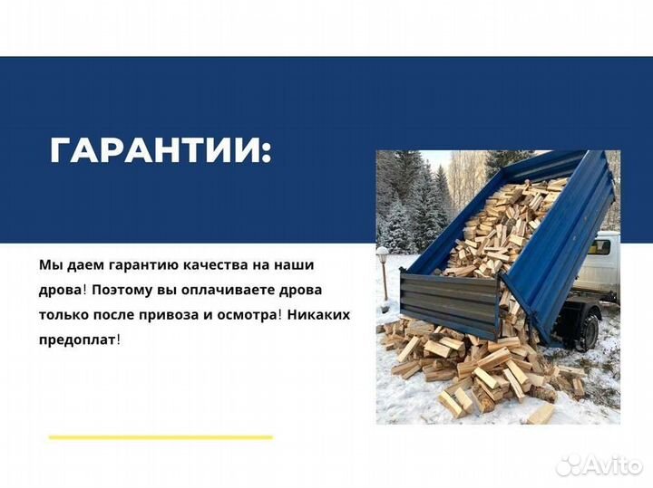 Дрова колотые березовые