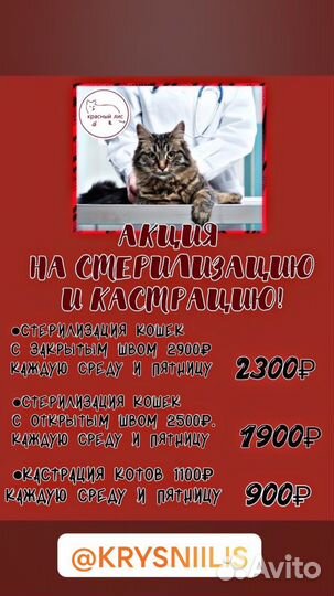 Зоосалон вет. кабинет, зоомагазин, услуги грумера