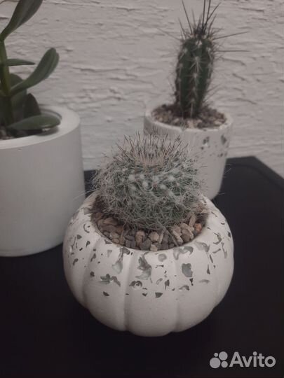 Кашпо из гипса