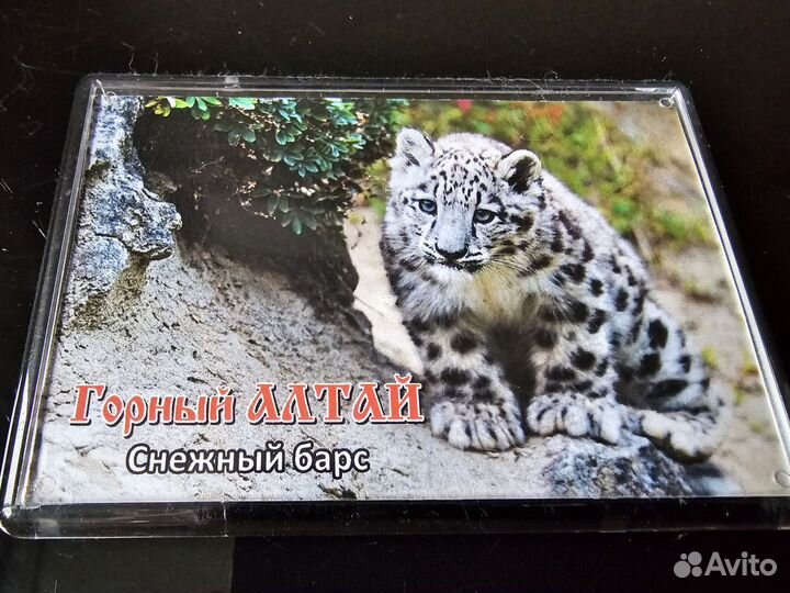 Магнитики на холодильник