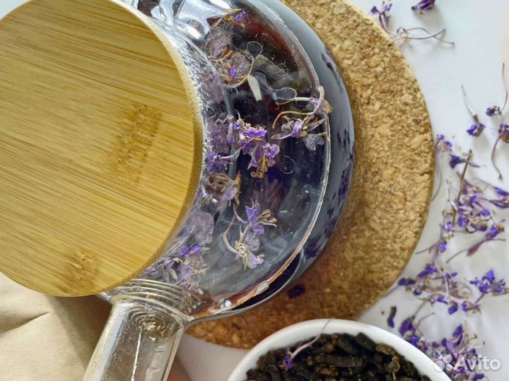 Иван-чай с цветами лето 2O23, полезный чай