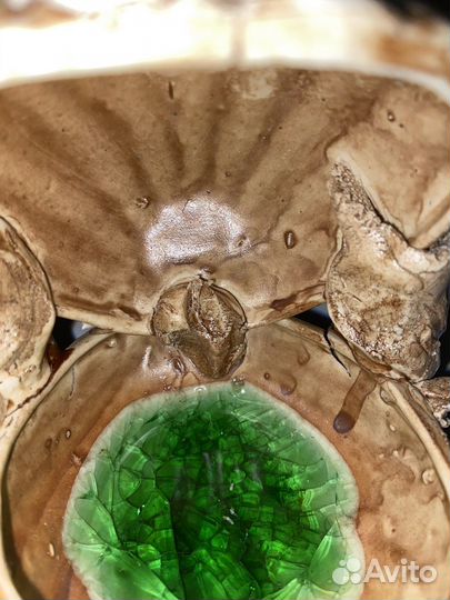 Декорация для аквариума «Ракушка»