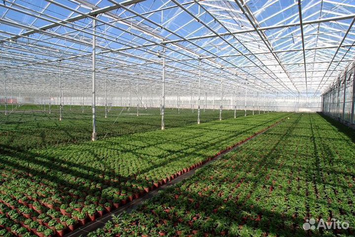 Тепличный комплекс