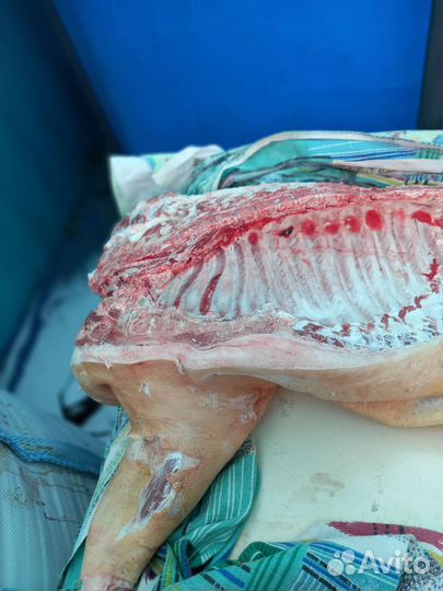 Мясо свинина деревенское