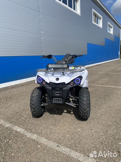 Квадроцикл Motoland Wild Truck X 200