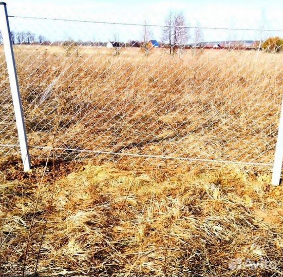 Забор из сетки Рабица