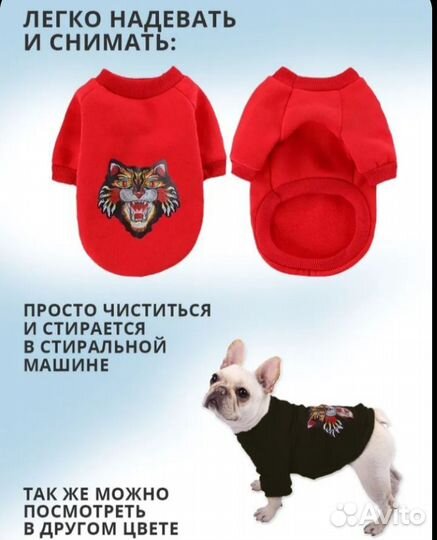 Костюм для собаки