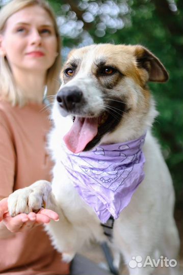 Скарлет ищет семью