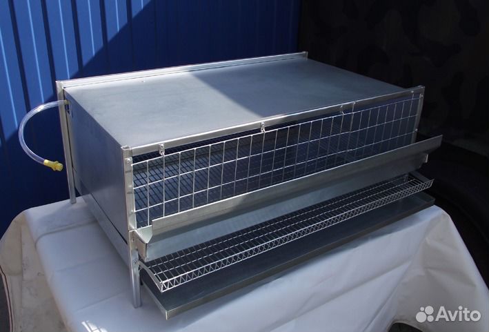 Клетки для содержания перепелов