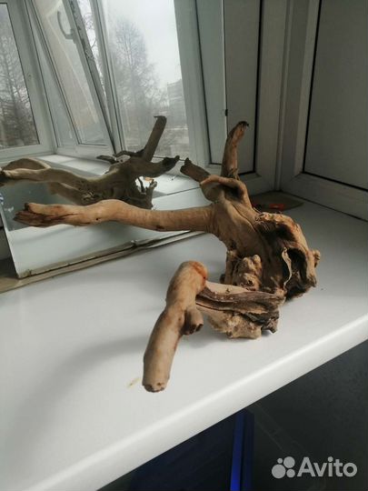 Коряги для террариума