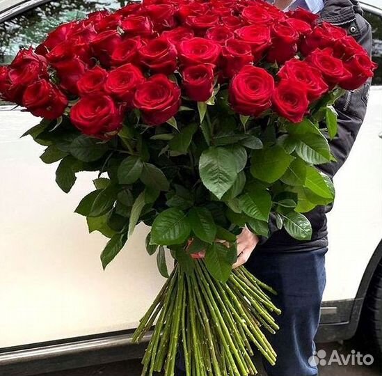 Высокие розы