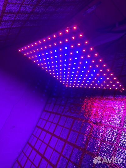 Фитолампа для растений