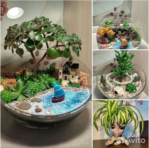 Флорариум, подарок, цветочная композиция