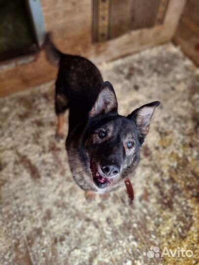 Вся жизнь - сплошная боль