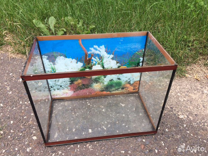 Аквариум