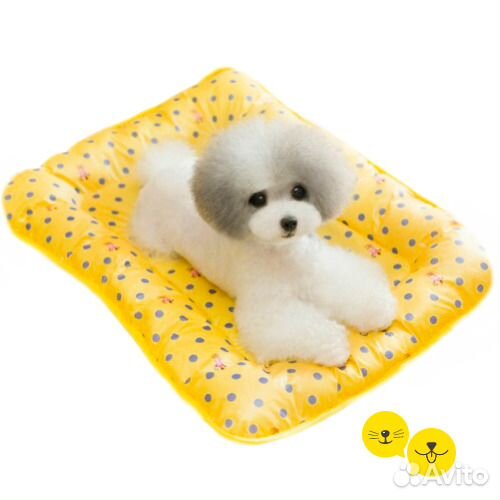 Нашим питомцам