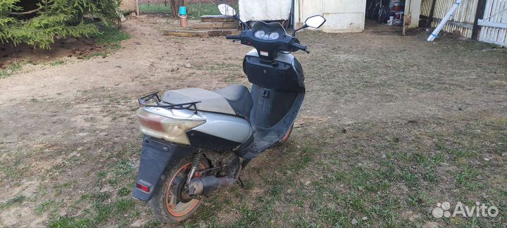 Ирбис нирвана