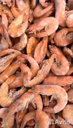 Креветка Королевская 50/70